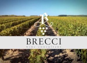 Brecci